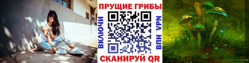 Галлюциногенные грибы Magic Shrooms  даркнет сайт  mega ссылка  Курган 