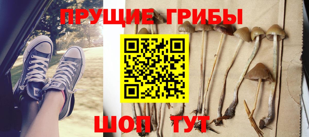 Псилоцибиновые грибы прущие грибы Курган