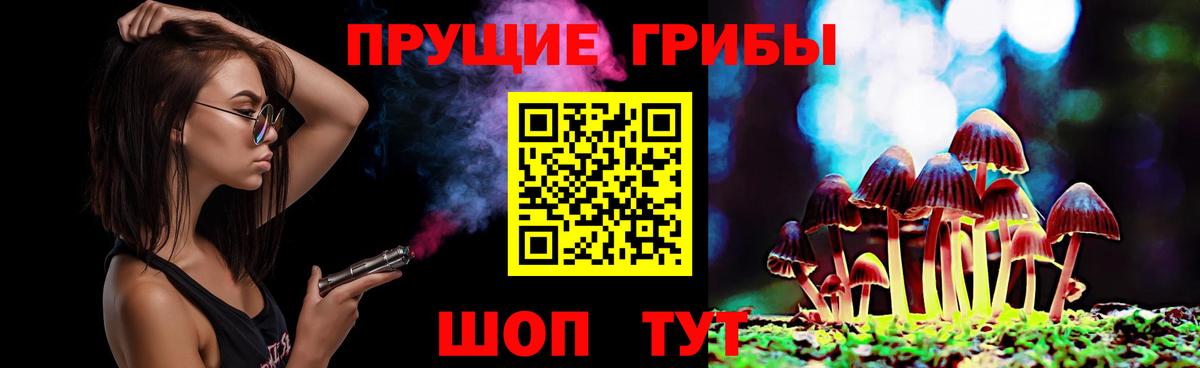 Галлюциногенные грибы MAGIC MUSHROOMS  Вход с VPN  Курган 