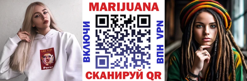Каннабис сатива  Курган 